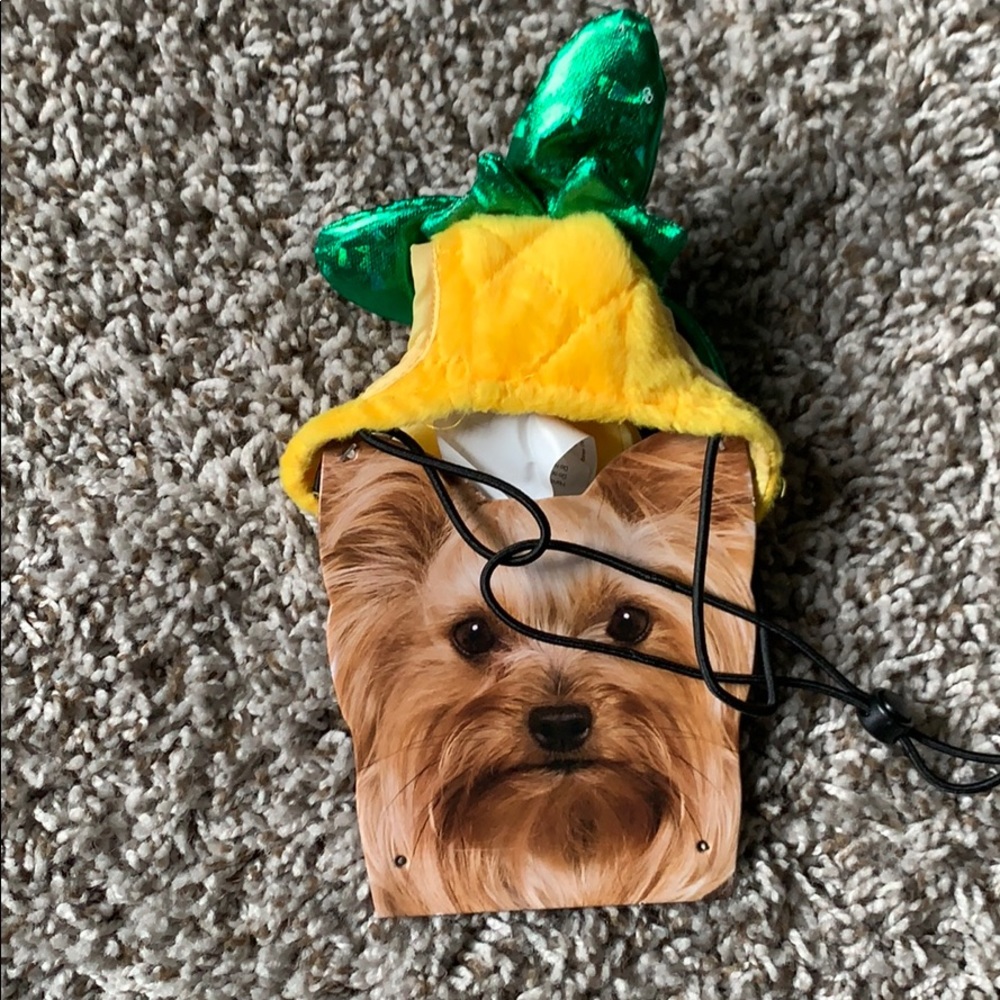 Pineapple hat for small dog new never used💕